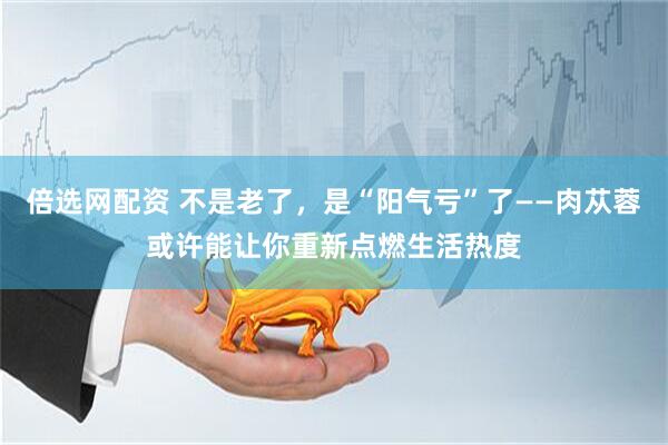 倍选网配资 不是老了，是“阳气亏”了——肉苁蓉或许能让你重新点燃生活热度