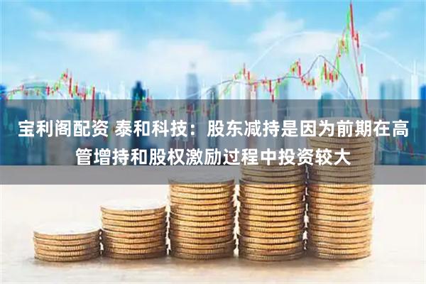 宝利阁配资 泰和科技：股东减持是因为前期在高管增持和股权激励过程中投资较大