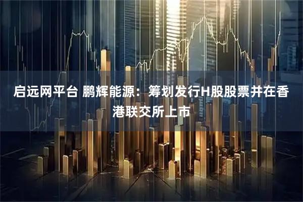 启远网平台 鹏辉能源：筹划发行H股股票并在香港联交所上市